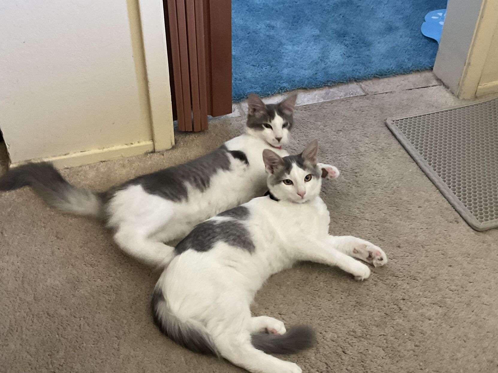 Smiley and Stormy
